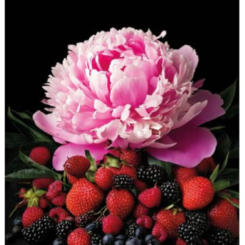 Better Accordo Fruttato Profumatore Concentrato 100 lavaggi Bucato 250 ml x 6