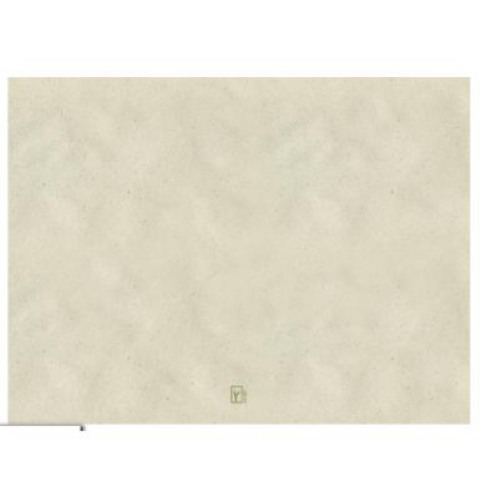 Tovaglietta Monouso Carta Ecologica Compostabile Erba 30x40 pezzi 1000