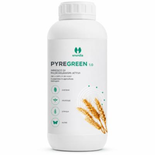 Pyregreen 5.0 Orma 6x1 Lt Insetticida Concentrato Mosche Blatte Pidocchi Pulci Tarme con Piretro
